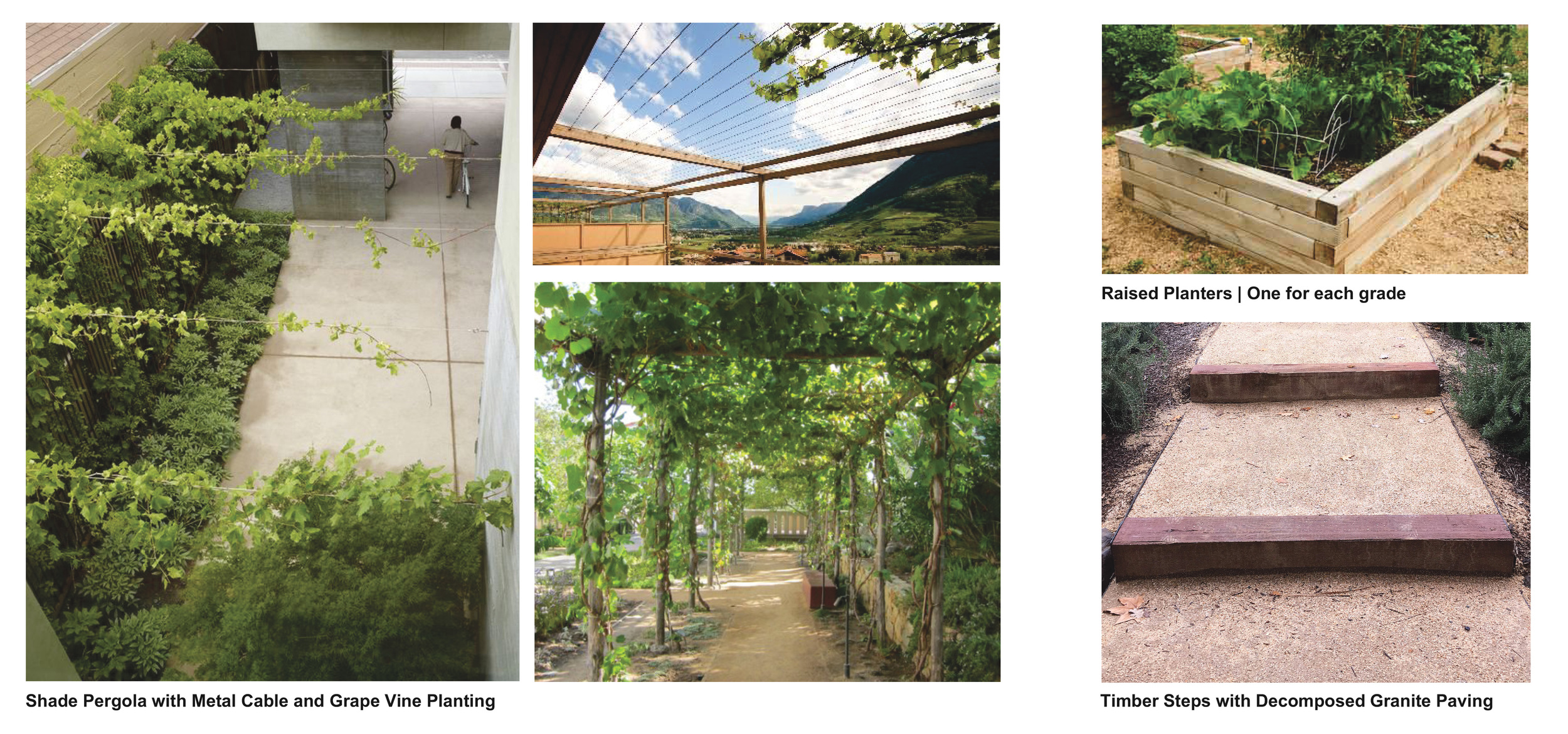 Design Imagery | Metal Cable Shade Structure, Terraced Steps and Raised Beds