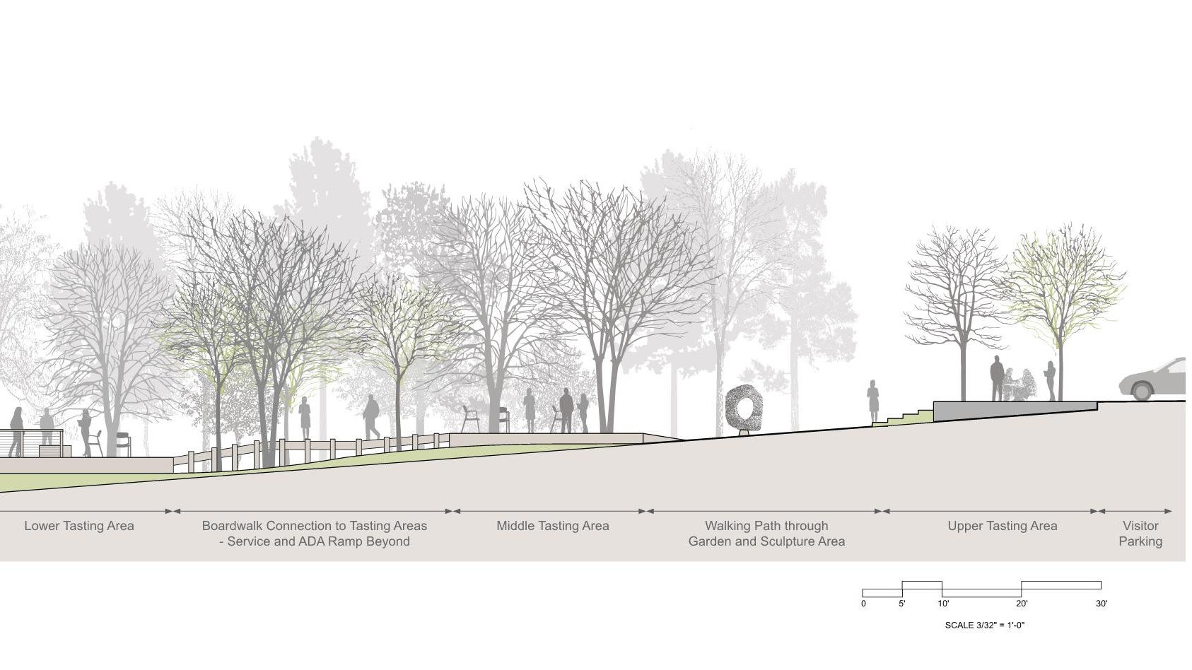 Section through Proposed Tasting Areas