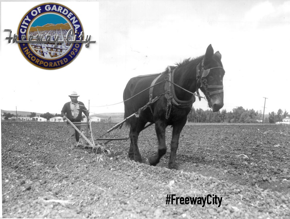 ISSEI FARMER CULTIVATING A TRUCK GARDEN IN GARDENA (1941)