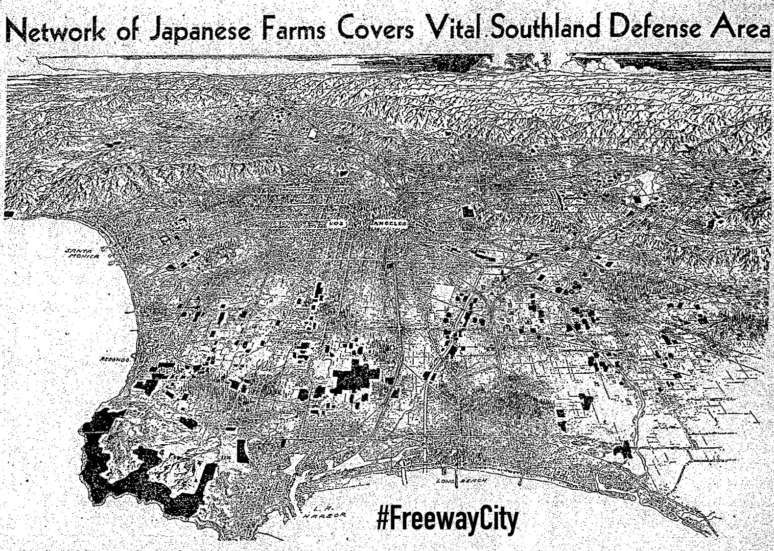 Network of Japanese Farm#38.jpg