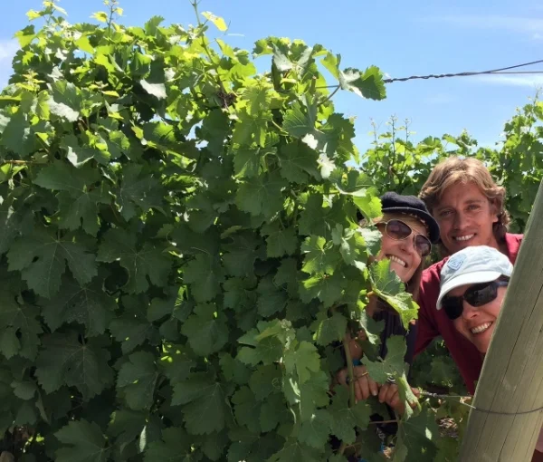 the-team-with-grape-vines.jpg