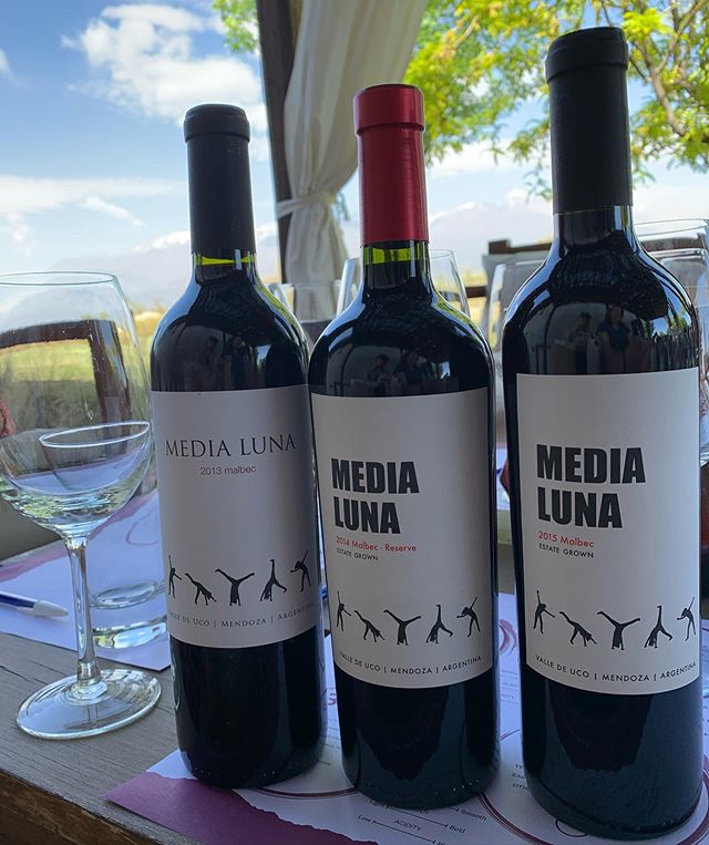 Malbec Vertical tasting: results are in! .
. 
In a vertical tasting, you&rsquo;re actually tasting one bottling from one winery (all ours) over the course of years, with multiple vintages and we did 2013, 2014 &amp; 2015. Everything stayed the same (