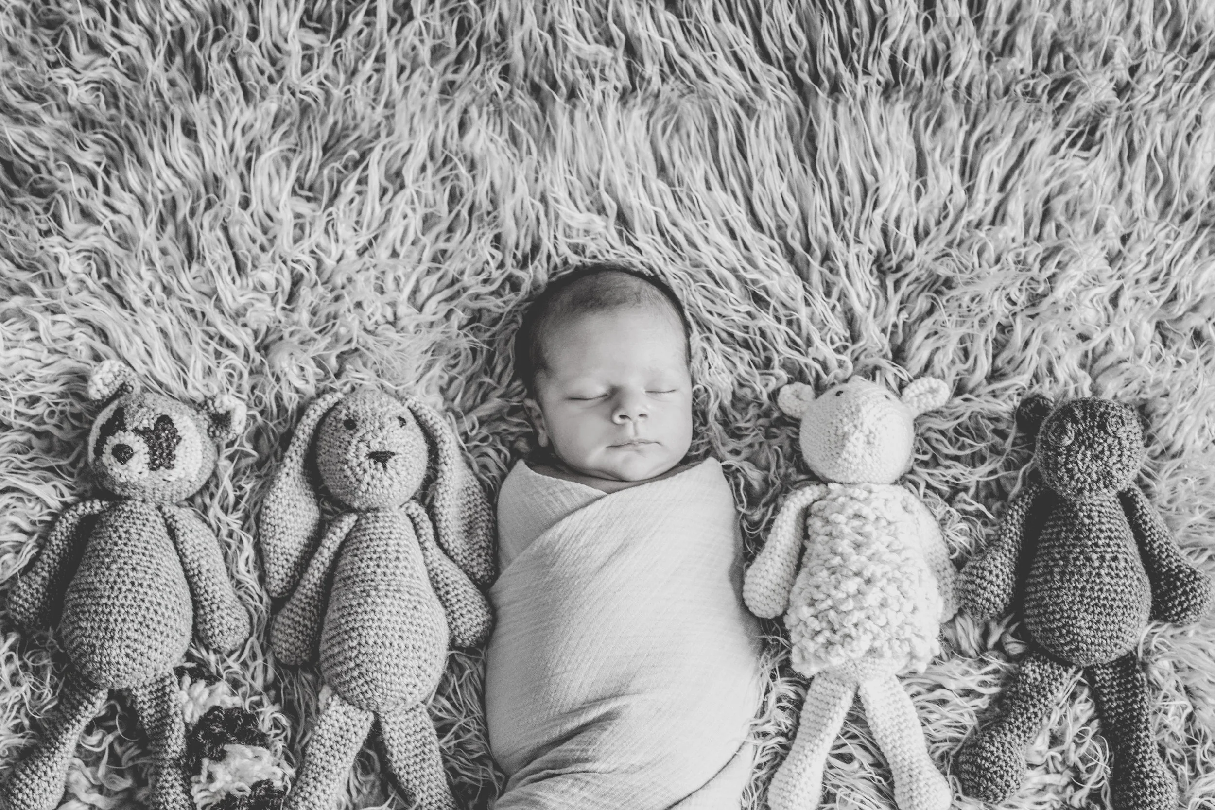 Baby E  //  Newborn Photography Session