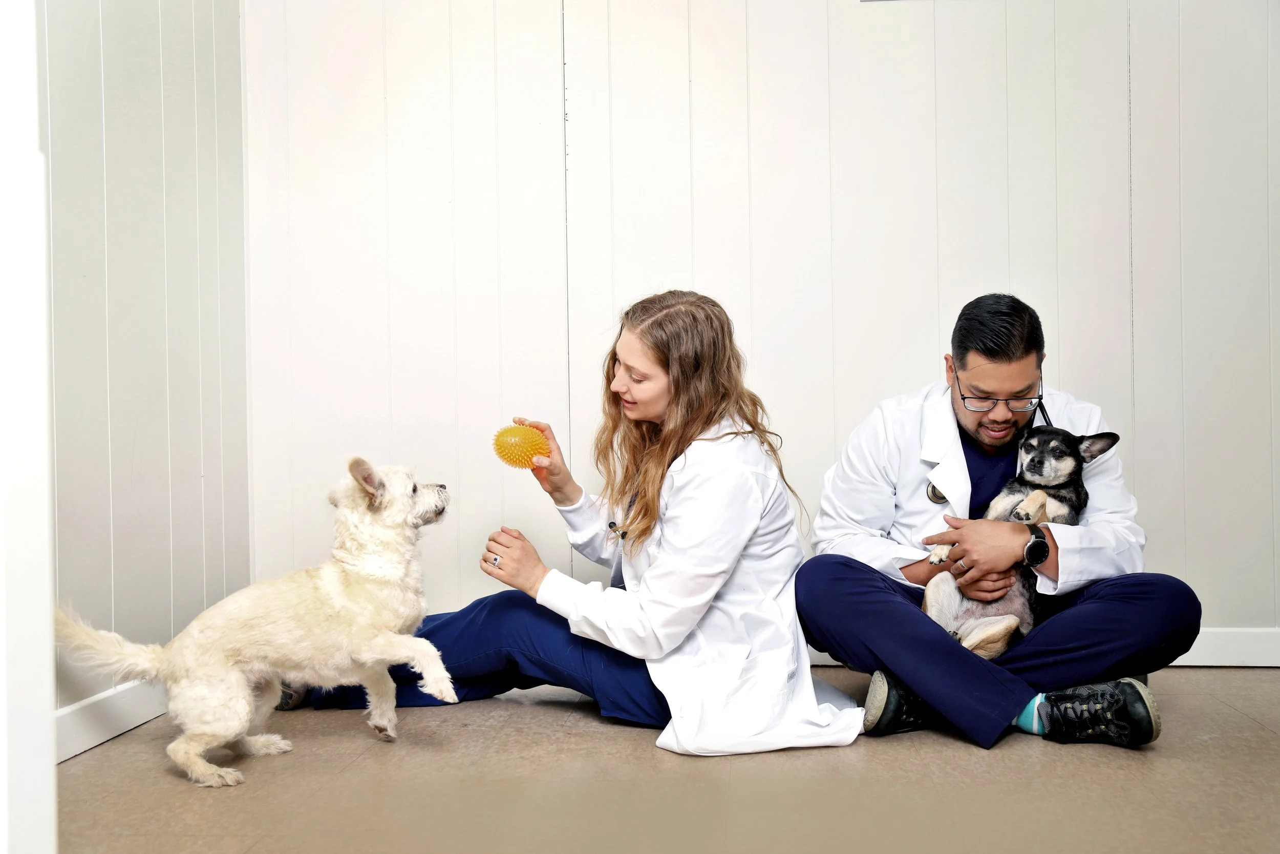 vetrinary_clinic_branding_photography.jpg