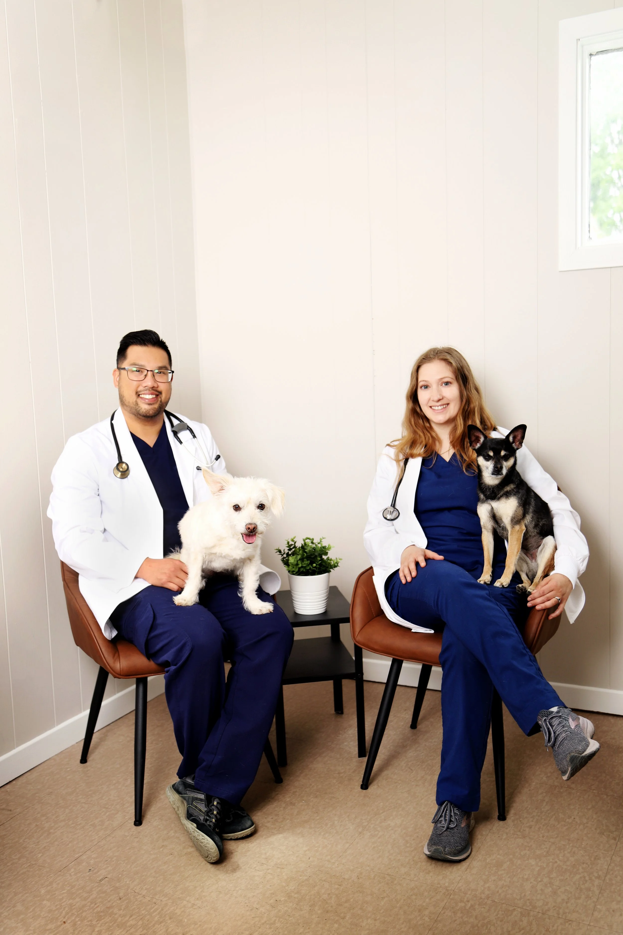 vetrinary_clinic_branding_headshot.jpg