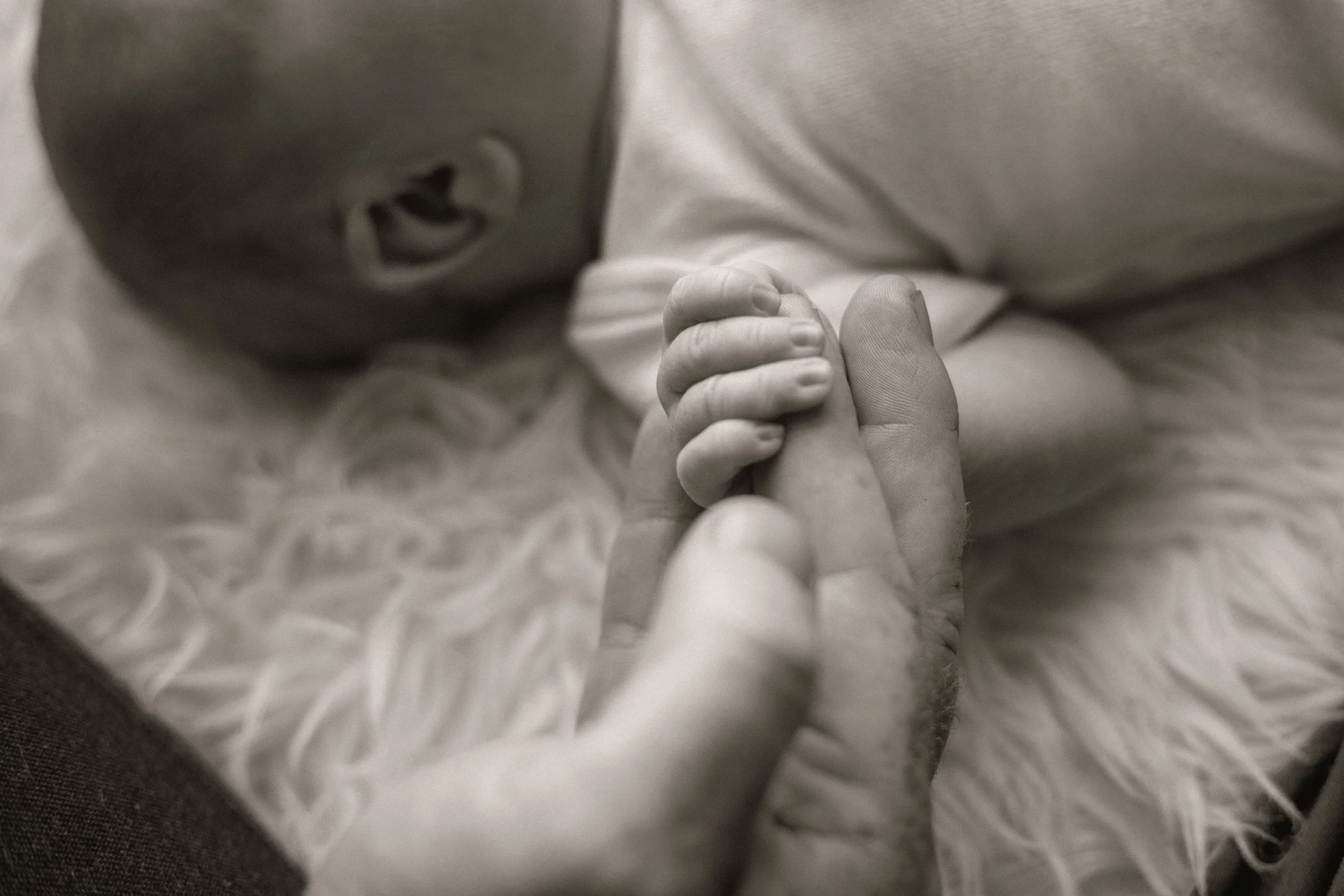 IMG_3354_bw.jpg
