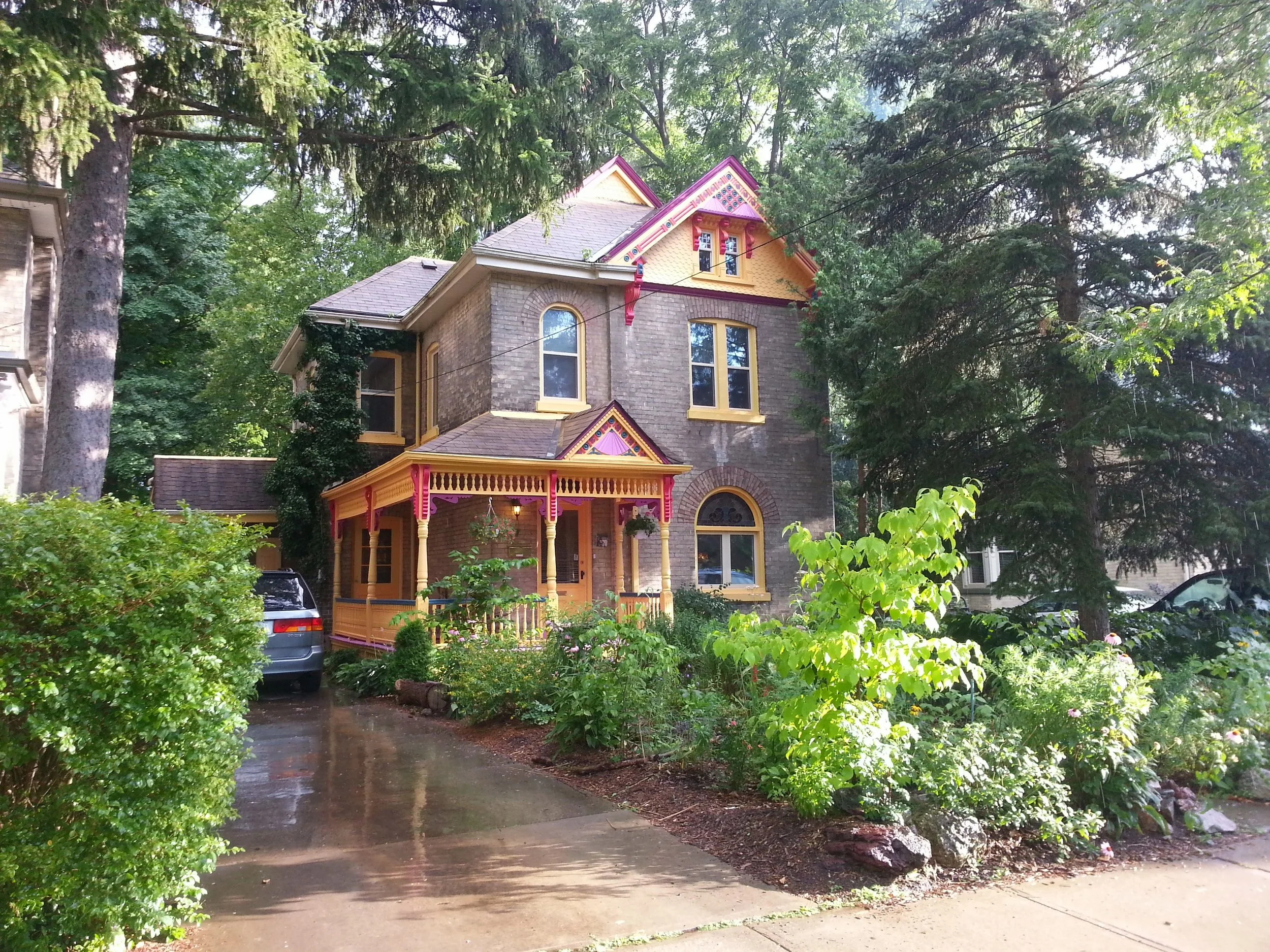Native Plants are featured front and centre at our home in Wortley Village, The Forest City, Ontario, Canada.