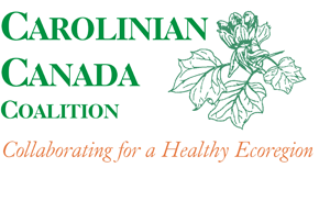 CCC logo.png
