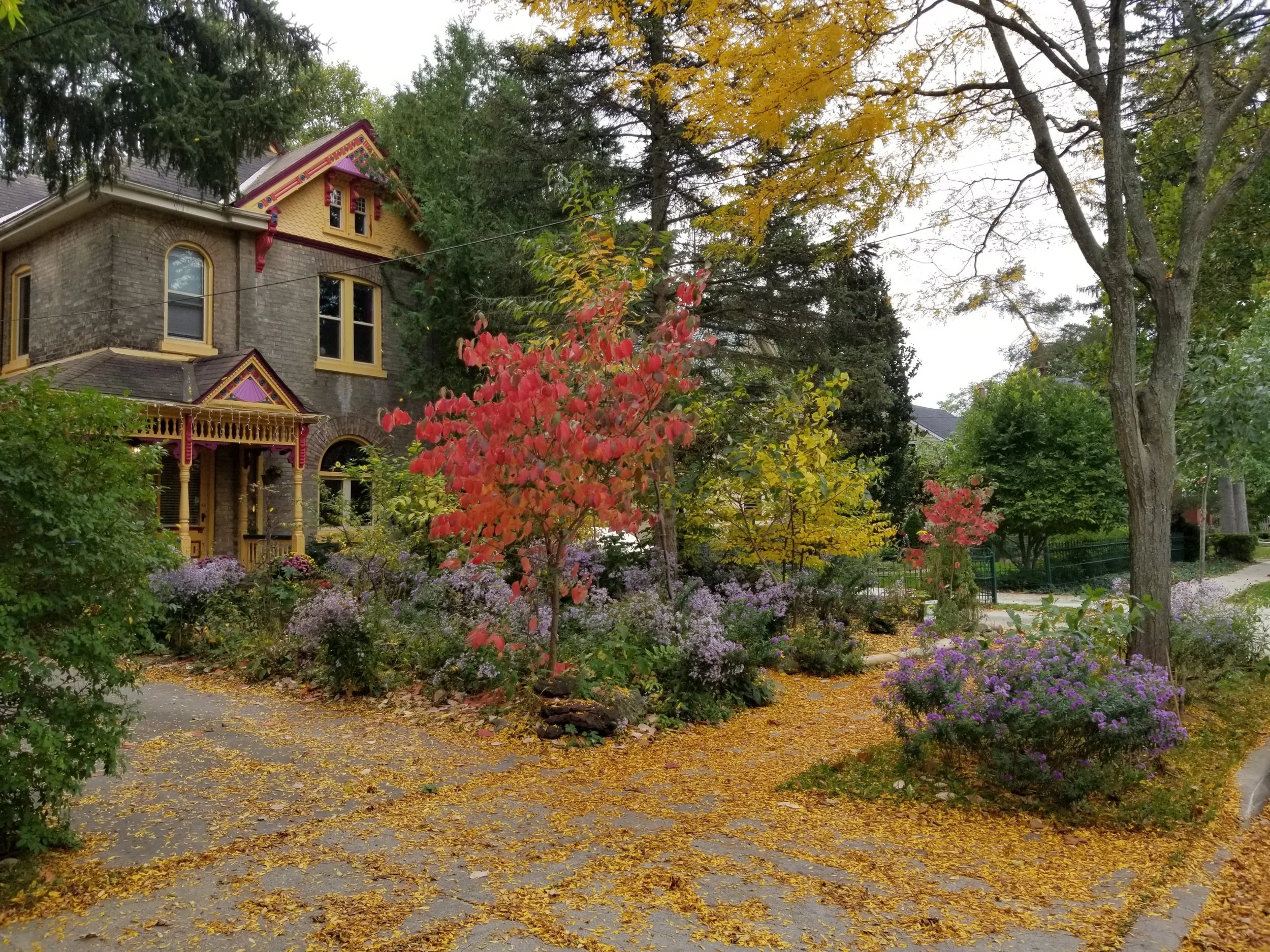 20181011_114641.jpg