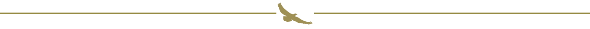 Divider.png