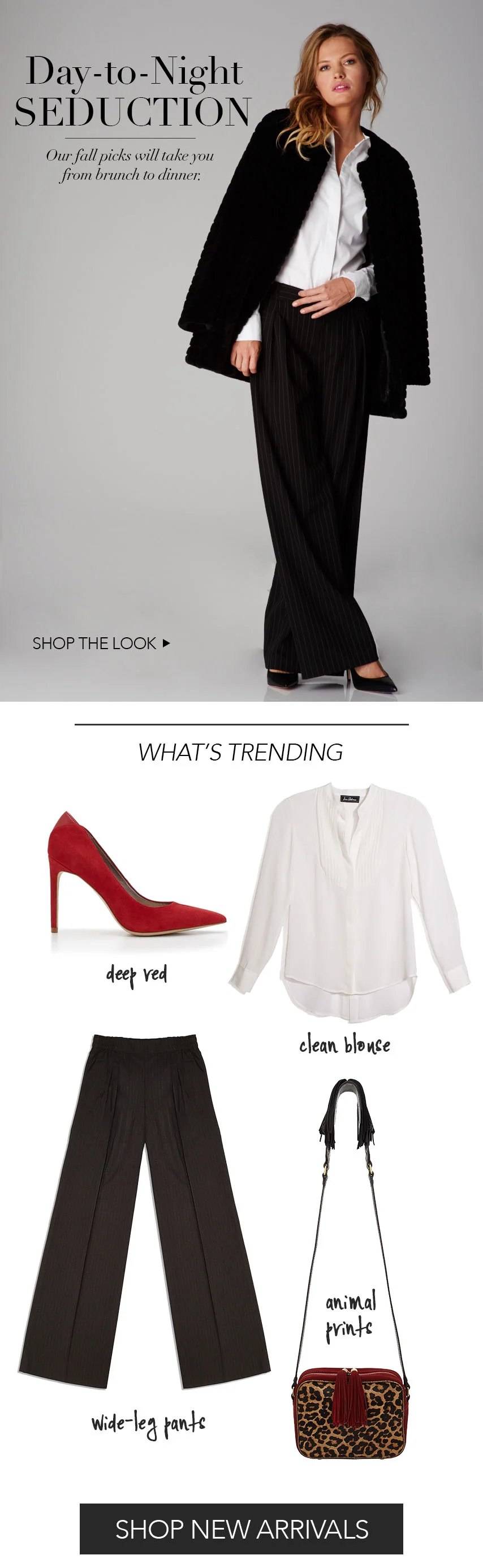 sam edelman graphic design.jpg