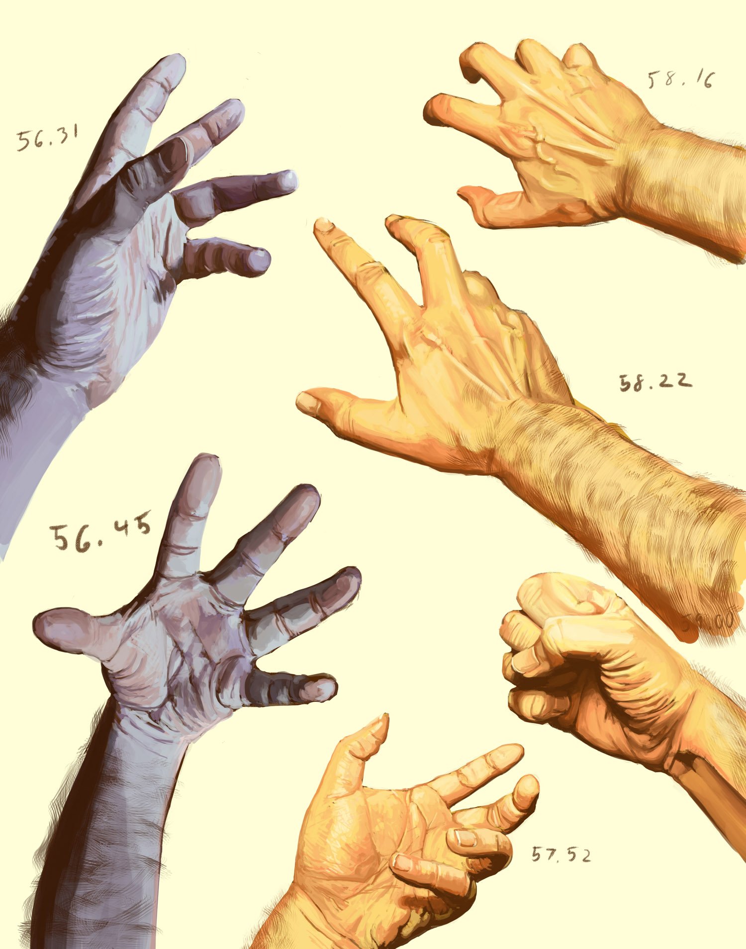 hands01.jpg