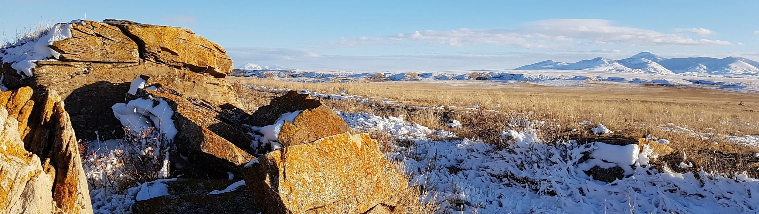 page 5 Outcrops cropped.jpg