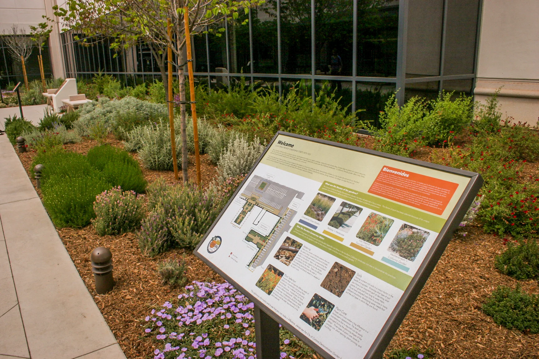 Corona City Hall Demonstration Garden — BMLA Landscape Architecture