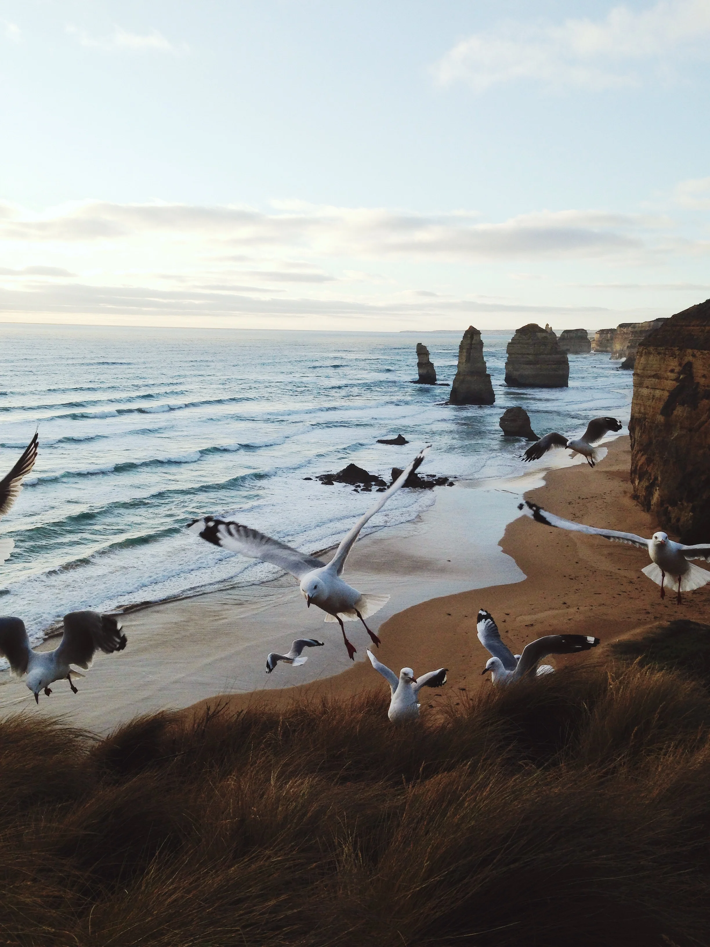 @lydiaevangeline - Great Ocean Road, Australia.