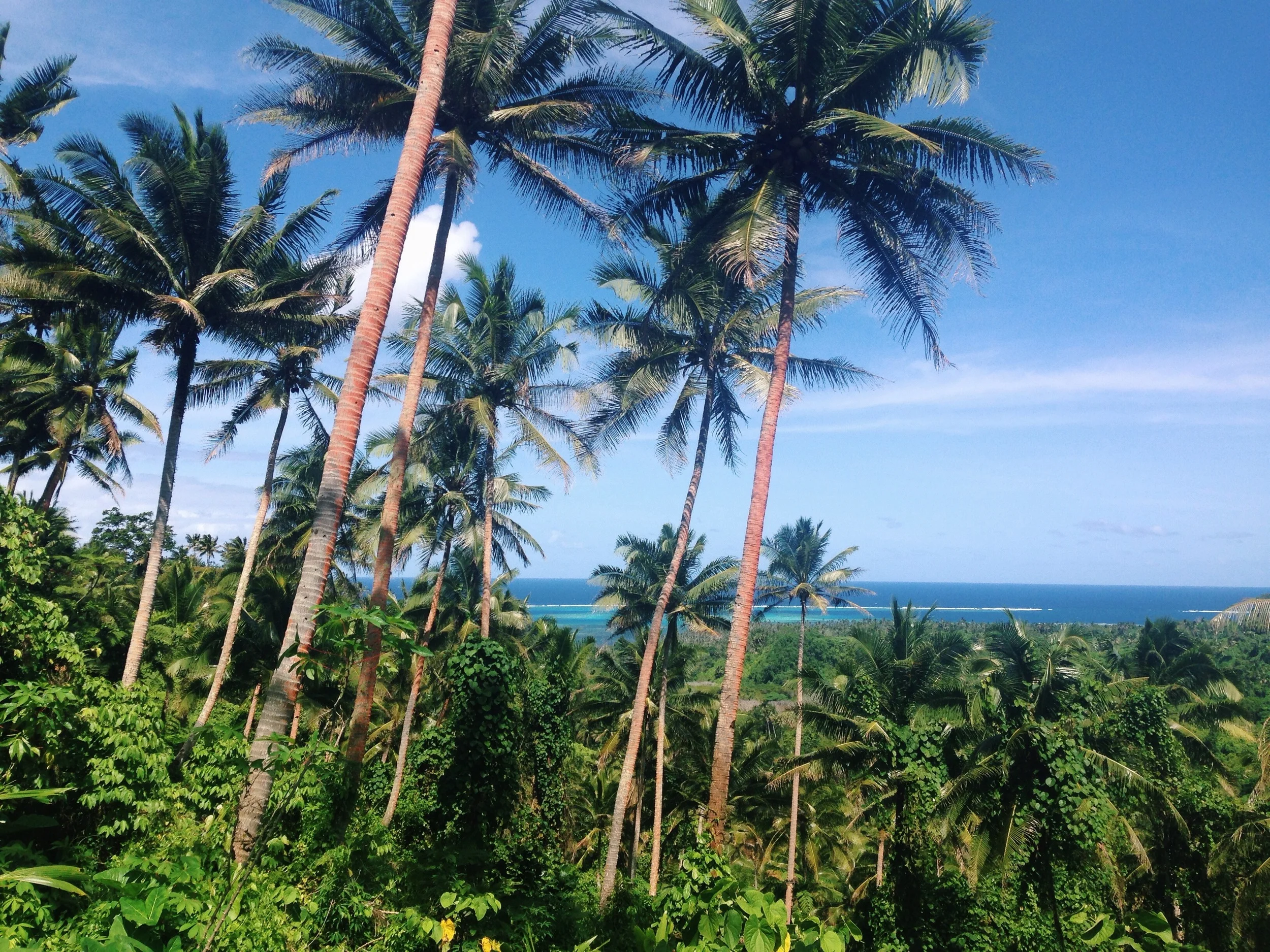 koro island