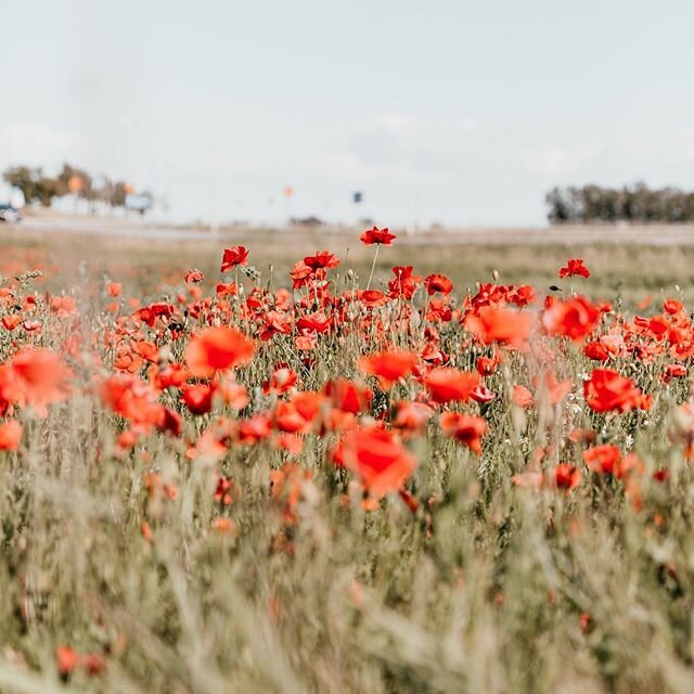 Today, we take the time, to slow down and remember them. The Anzac&rsquo;s embodied bravery, courage and freedom and we reap the benefits. #anzac2020