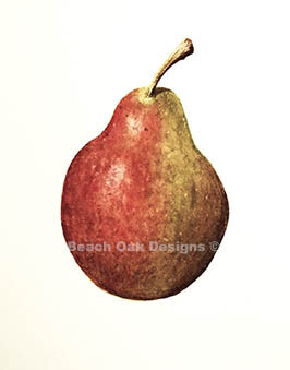 Pear.jpg