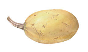 squash.jpg