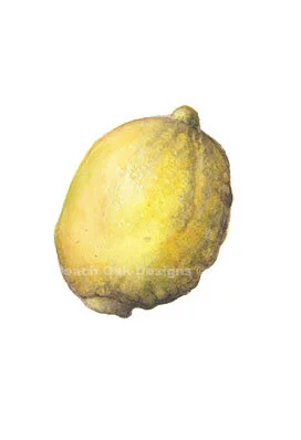 lemon.jpg