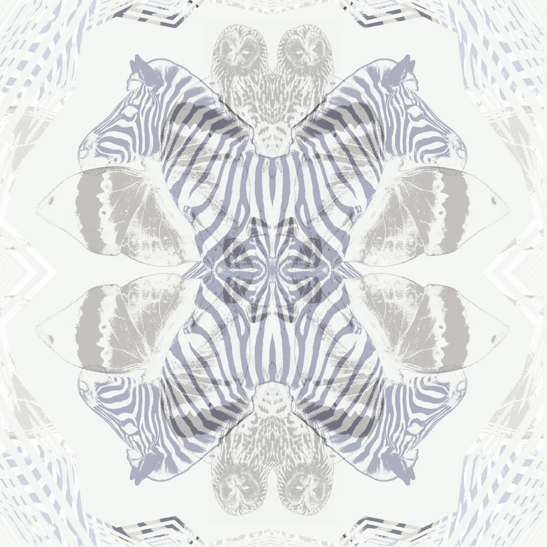Zebra Butterfly Owl-White