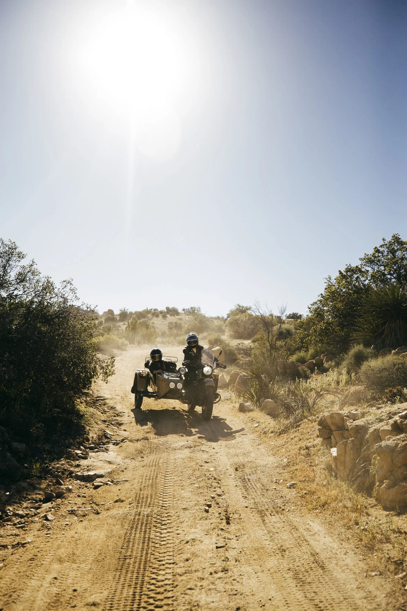 monicasemergiu-201704-143 (1).JPG