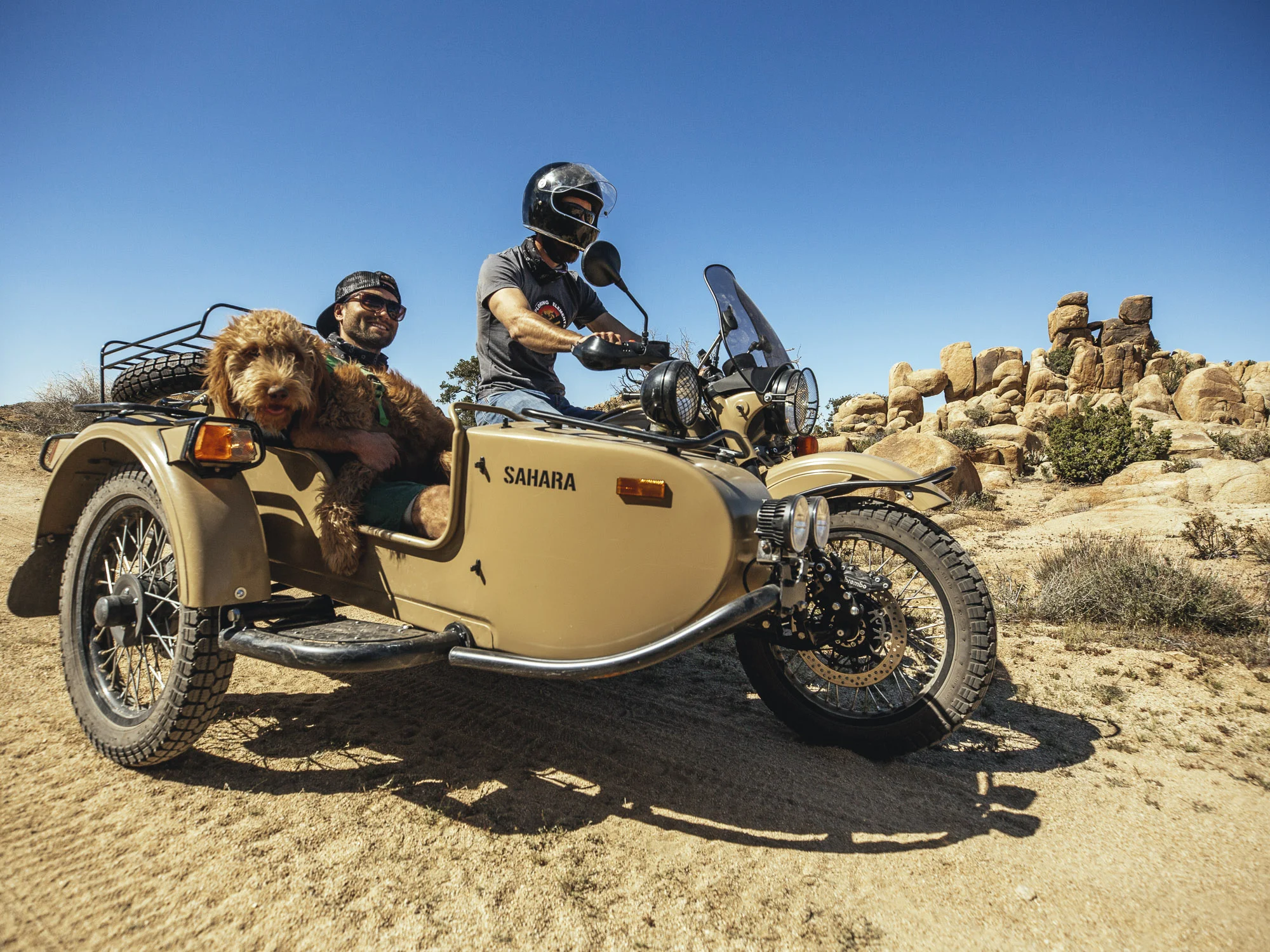 monicasemergiu-201704-121 (2).JPG