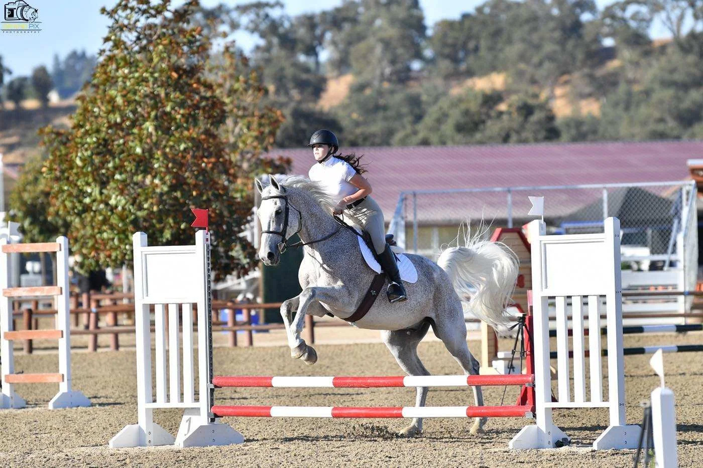 Quin prhp sept 2024.JPG