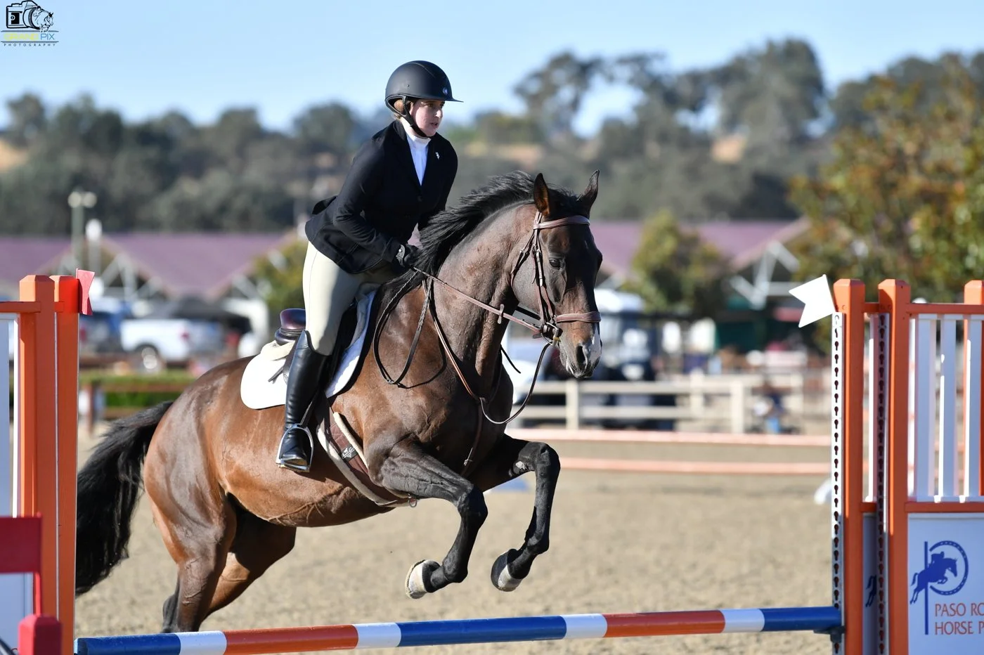 Freyja Lindy Oct. 2024.JPG