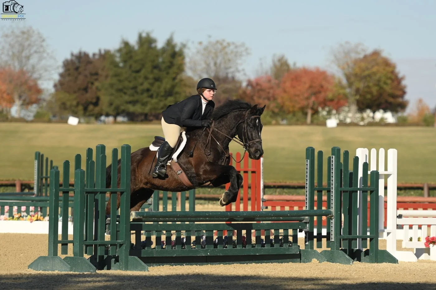 Emilie Tripp Nov. prhp.JPG