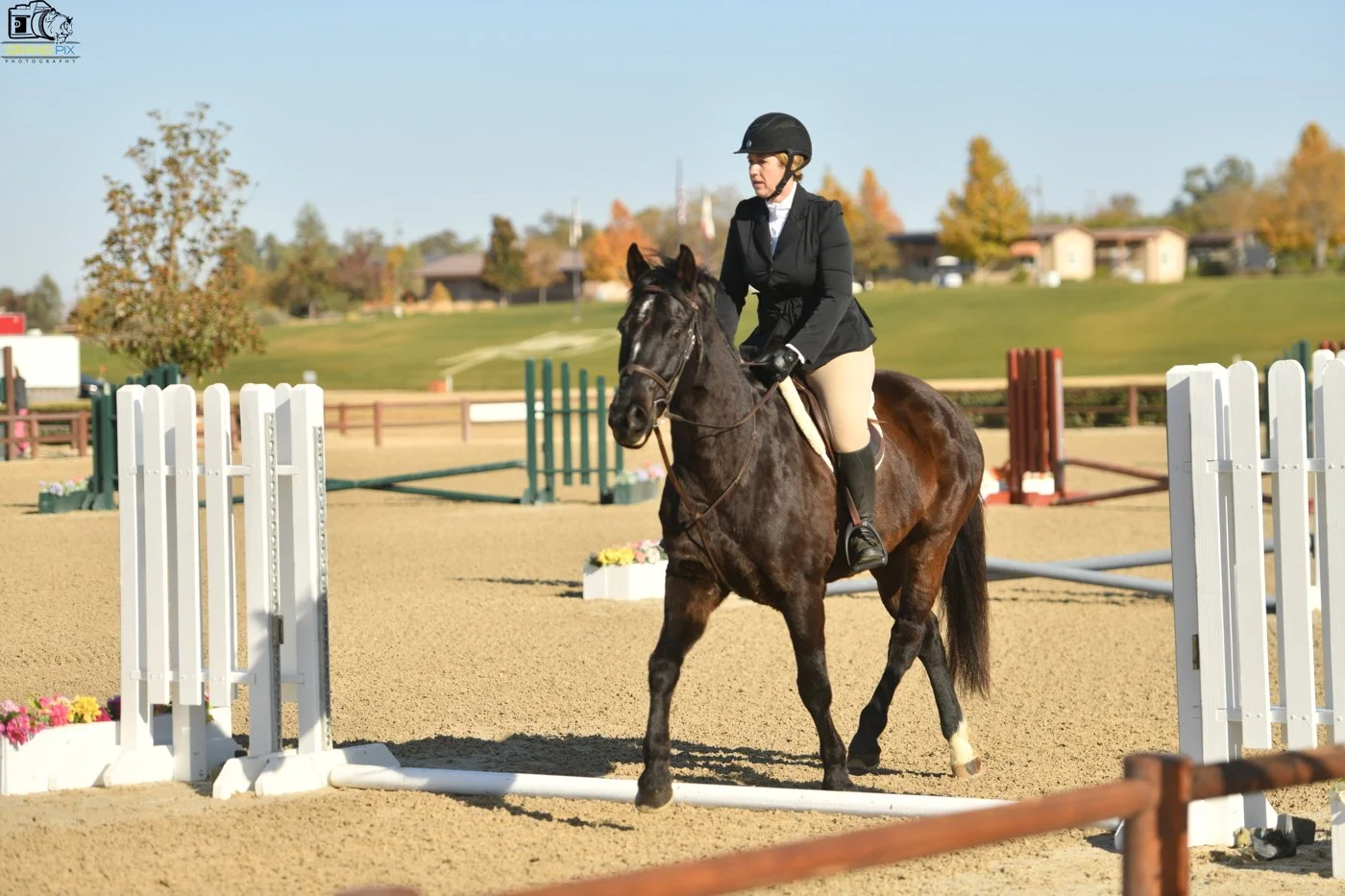 Sarah Tripp Nov.prhp.JPG