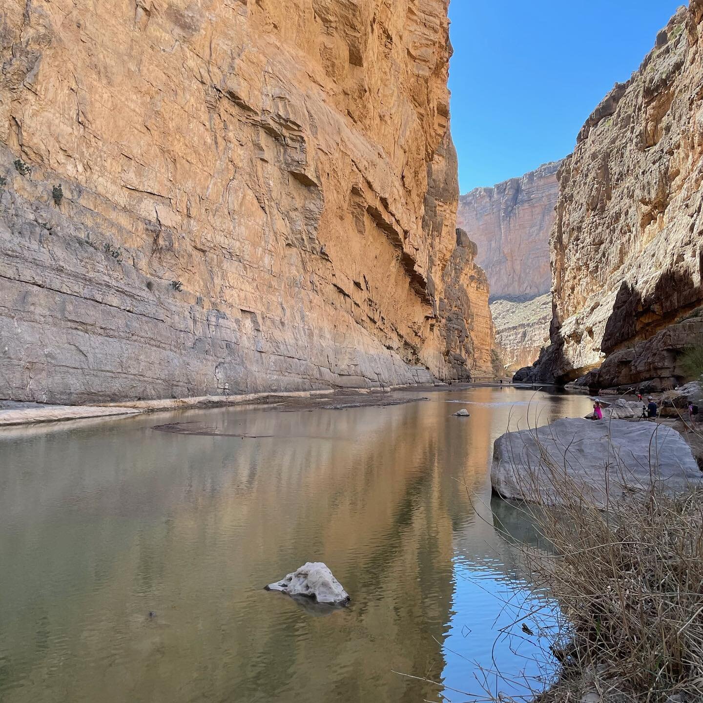 Nature is full of magic, and perfect designs that always inspire me. 
If you have never been you should visit Big Bend National Park located in west Texas.
Nature fills me with positive energy.
#bigbendnationalpark #skyfullofstars #nature_perfection 