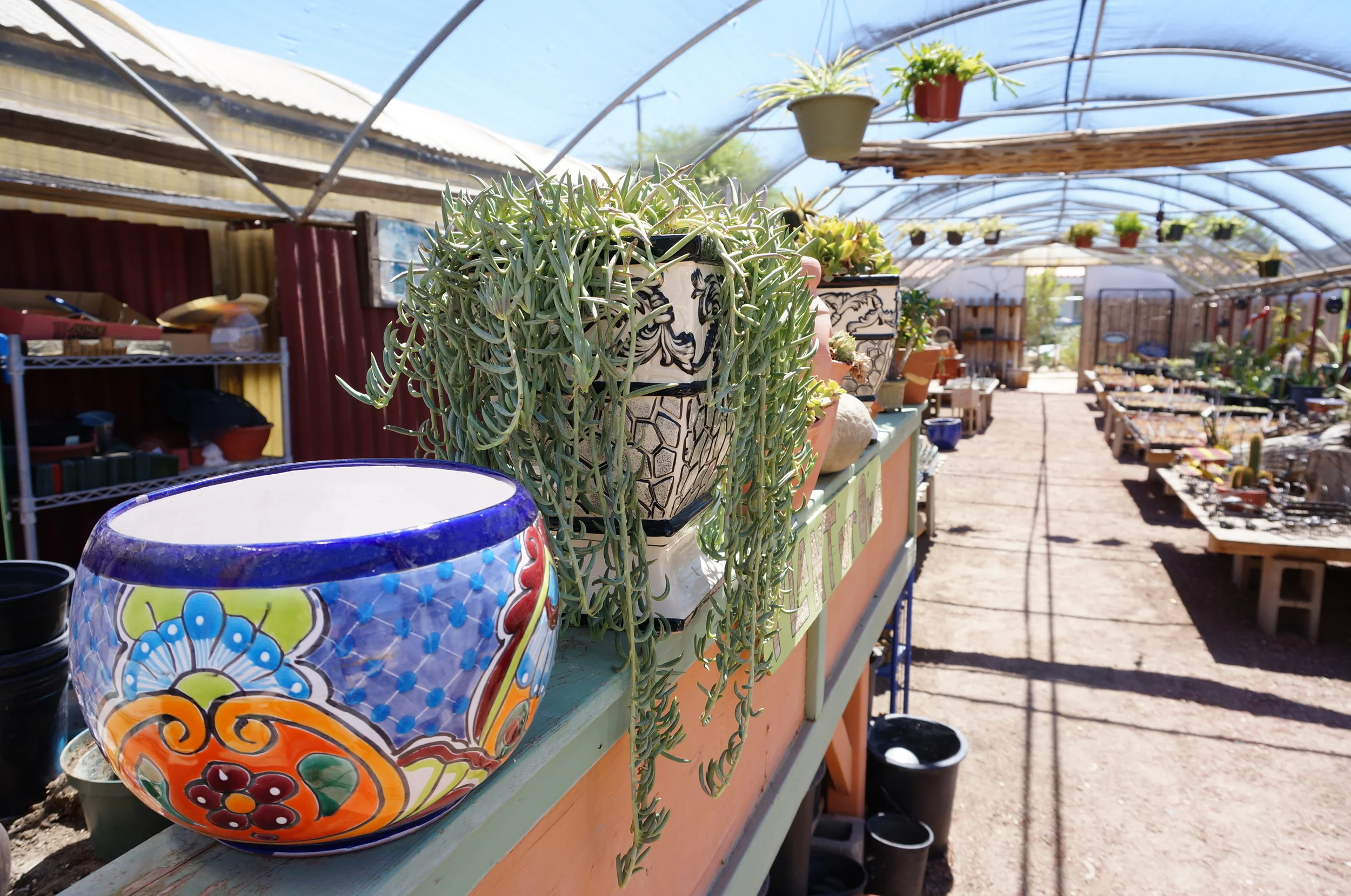 Beautiful pottery and arrangements