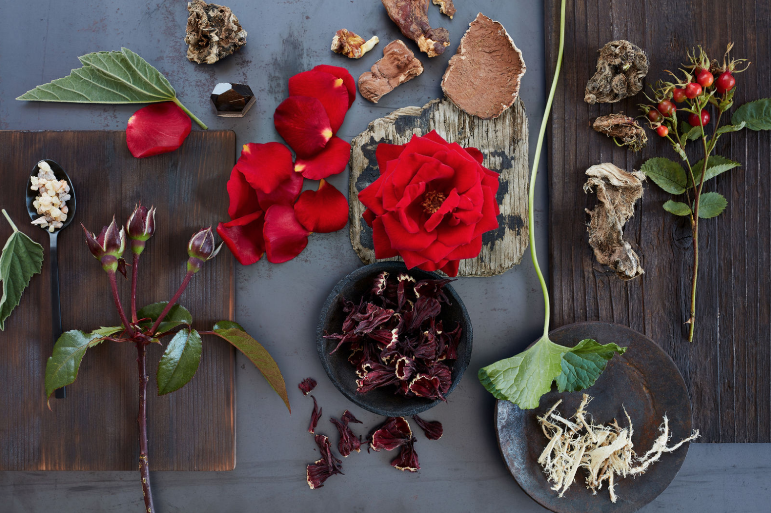 Screen Shot 2019-10-27 at 12.27.14 PM.png