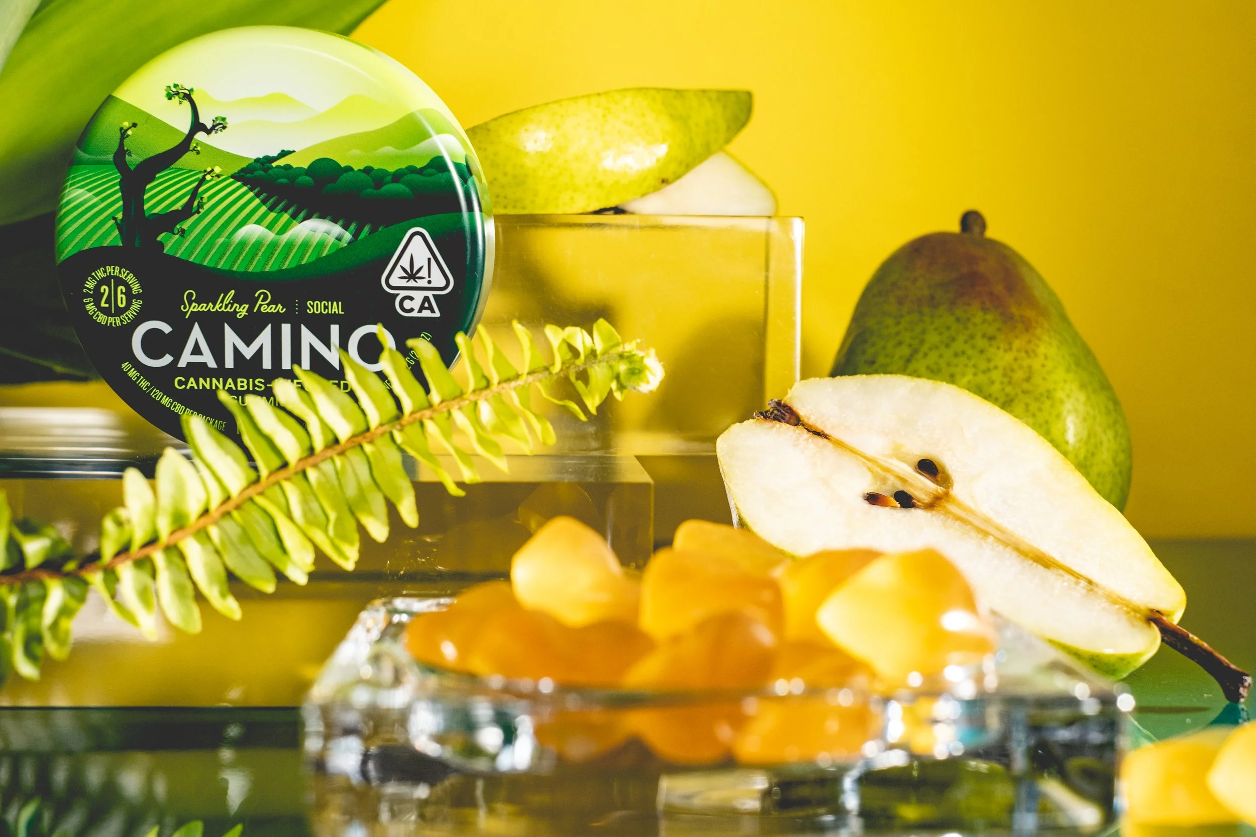 GUMMY TEST SHOOT_CAMINO_SPARKLING PEAR-2.jpg