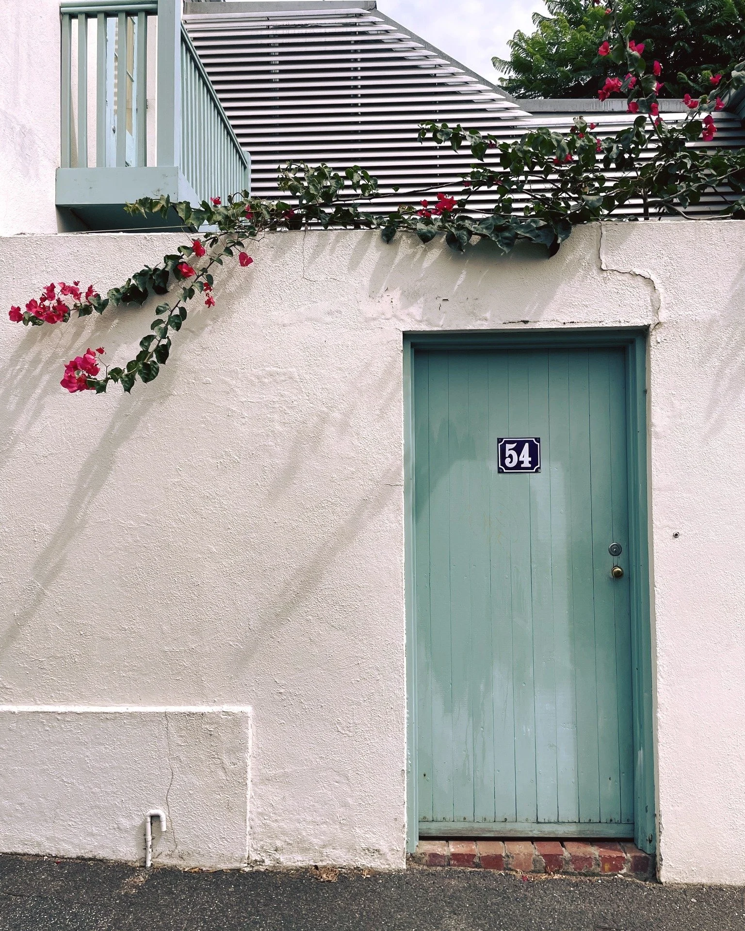 Sage door. Hot pink bougainvillea. White render. Carlton has been doing Italian without trying for seventy years.

#hiddennorth #carlton #melbournestreets #architecturedetail #urbanmelbourne #documentaryphotography