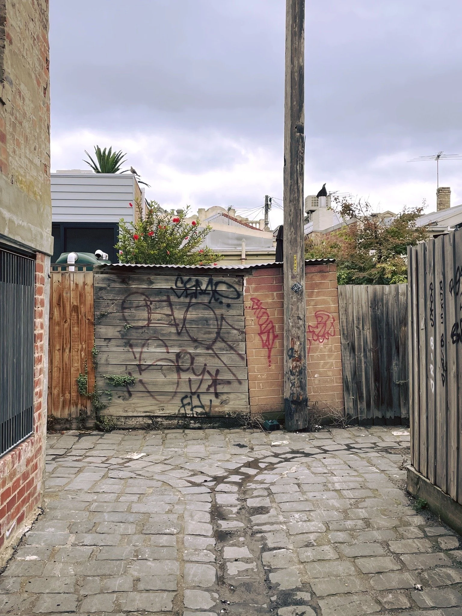 Blink and you&rsquo;ll miss this laneway.

Hidden behind fences and fading brick, the inner north keeps its secrets in places like this. Quiet, gritty and full of stories.

📍 Carlton North

#hiddenmelbourne #melbournelaneways #innernorth #streetsofm