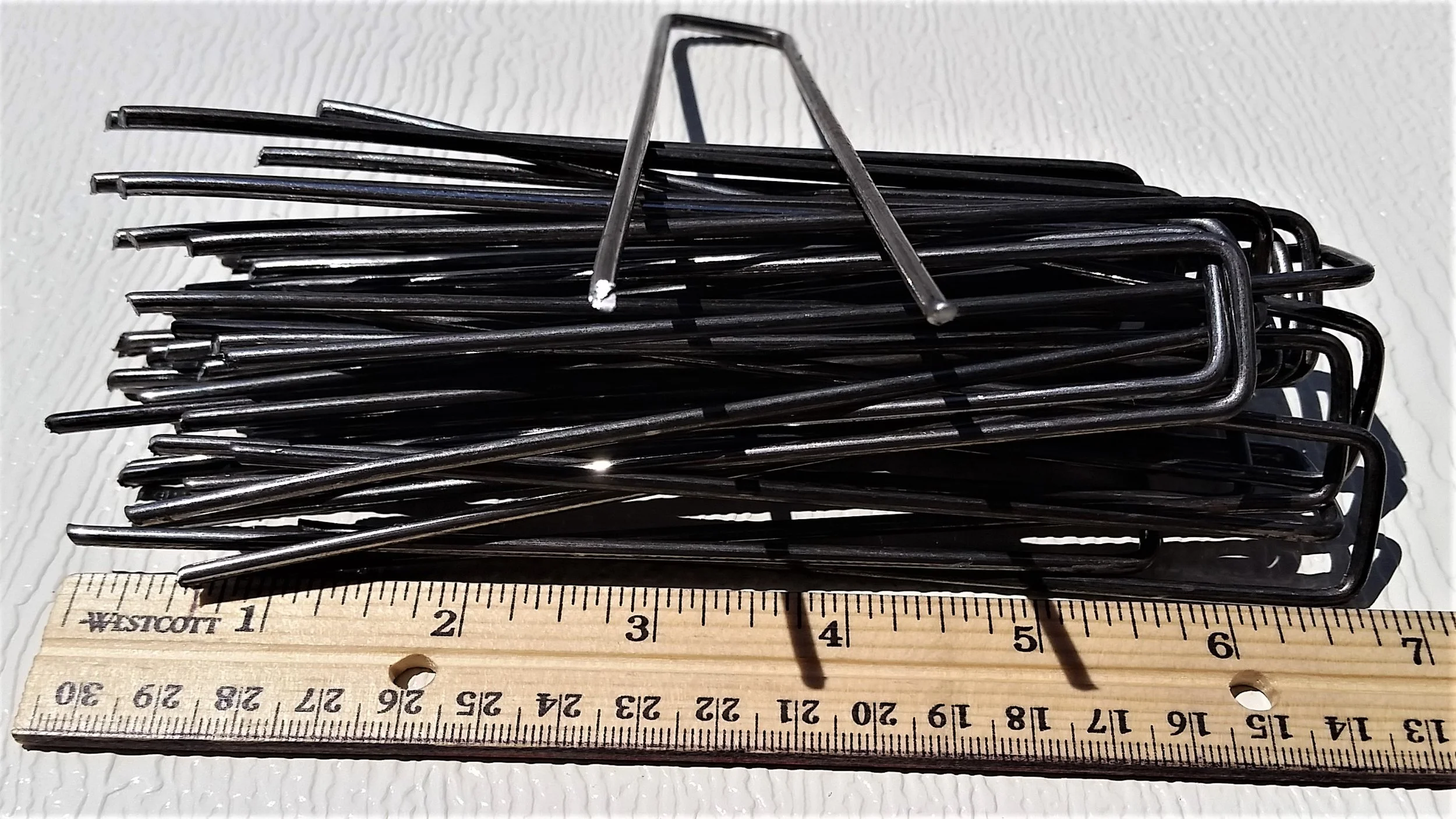 Staple2.jpg