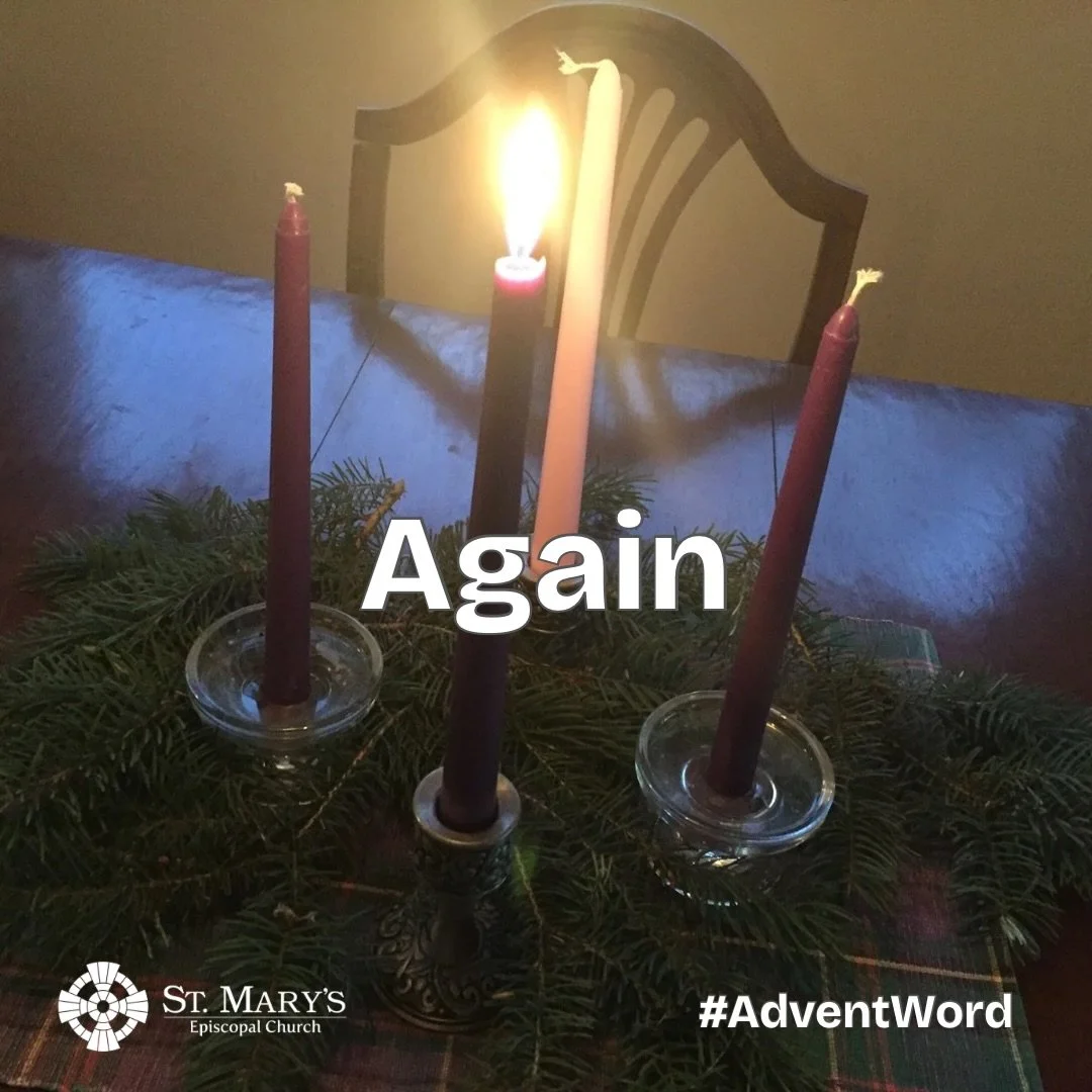 Again

In the monastic tradition of St. Benedict, the idea that each day, each hour, each moment, the opportunity to &ldquo;begin again&rdquo; through the grace and presence of Jesus is central. It is a way of being in the world that allows one to al