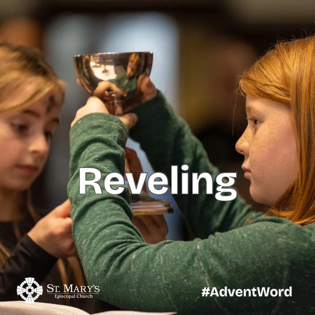 A reflection on today&rsquo;s #AdventWord

Reveling

Here at the farm, our pigs revel in the mud, digging in with their snouts, rolling on their bellies, even taking long naps half submerged. When they eventually emerge from this reveling, there is n