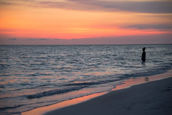 Photo by Carmen Buck- St. Petersburg Beach, FL