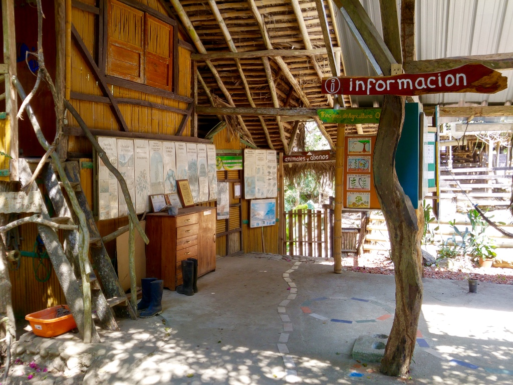 thumb_20150906_103316_HDR_1024.jpg