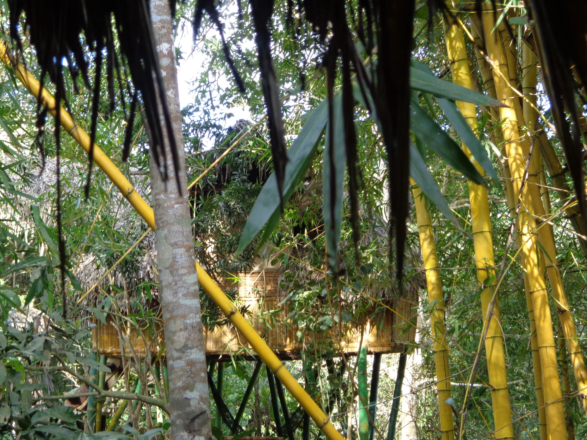DSC01469.JPG