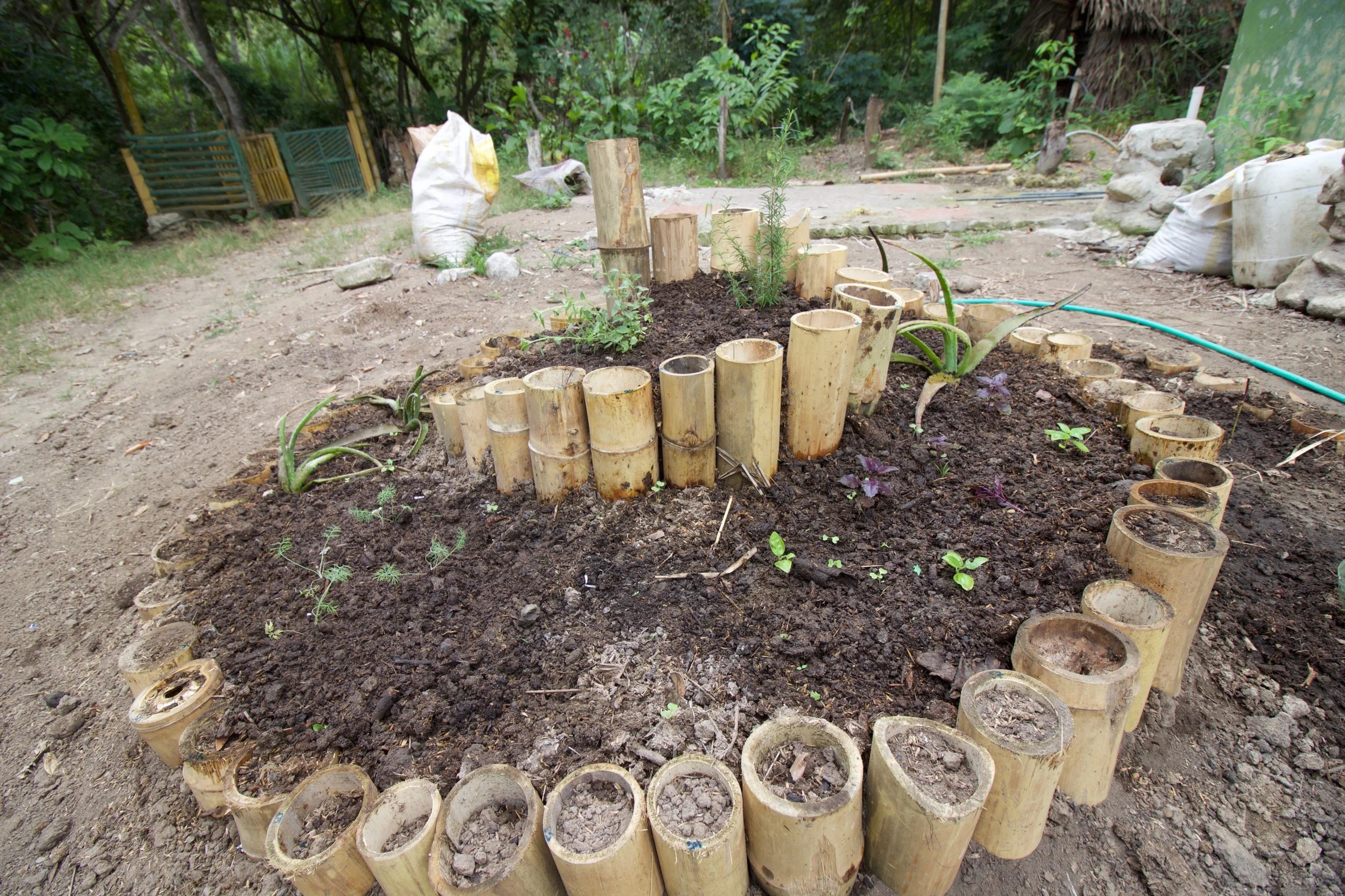 ....The spiral is dedicated to our former gardener and resident, Franklin, who was lost during the earthquake...LA ESPIRAL está DEDICAda A NUESTRO ANTIGUO JARDINERO Y RESIDENTE, FRANKLIN, QUE lamentablemente LO perdimos DURANTE EL TERREMOTO.....