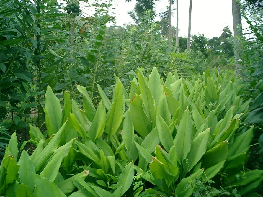Foto 2.jpg