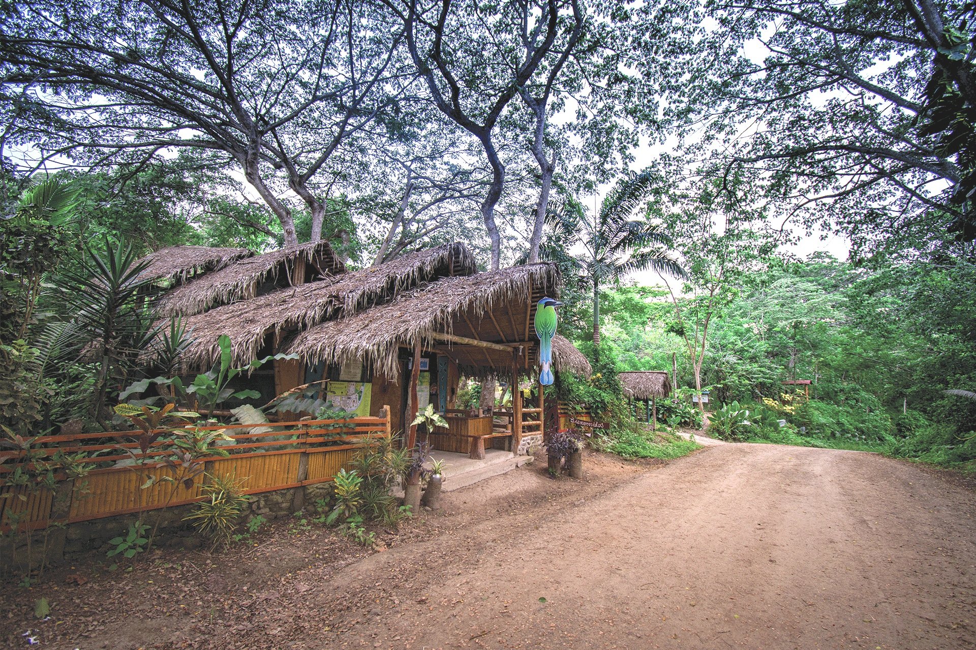 Entrada-finca.jpg