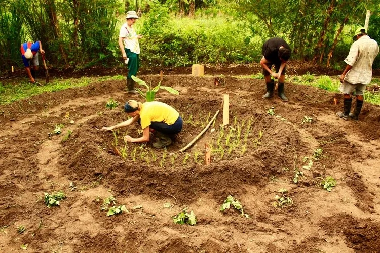 gardening.jpg
