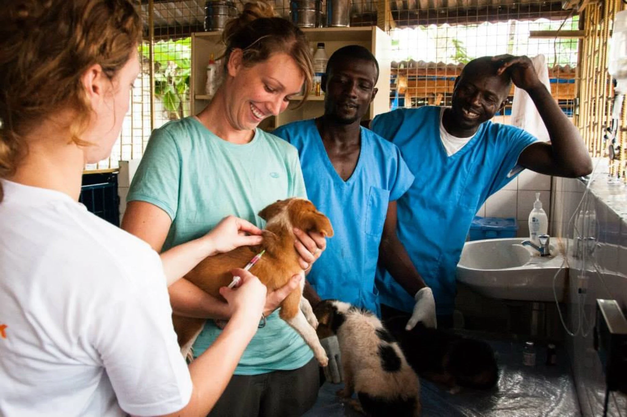 Nora Livingstone helps animals globally through partnering with verified programs