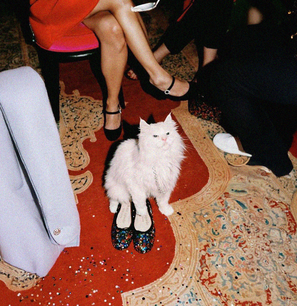 Why 2025 Disappeared: The Neuroscience of Designing a "Long" Life