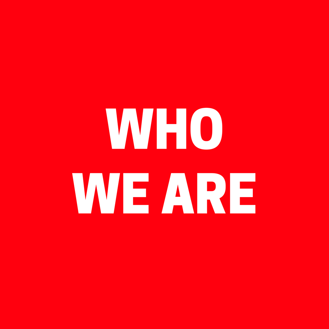 Copy of WHO WE ARE.png